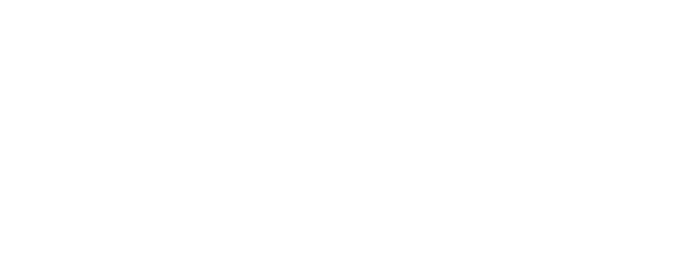 Robertson's Paintless Dent Repair